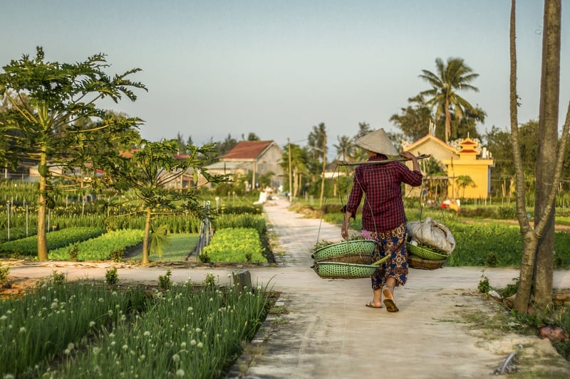 Finding Local Gardens
