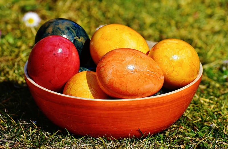 Eggshell Fertilizer