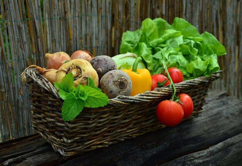 Harvested Vegetables